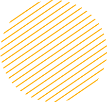 助您决胜市场的ddos在线网页端